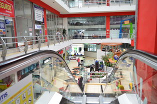 东北茶叶品牌店铺—品质与特色的融合之路