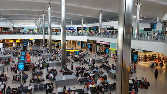 英国中餐车市场排名解析