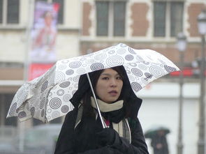 舞蹈摄影雨伞推荐品牌