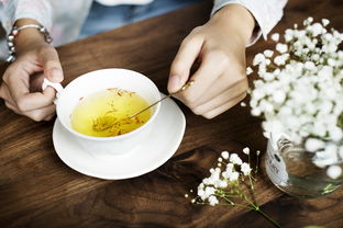茶叶品牌推荐—品味多彩的茶世界
