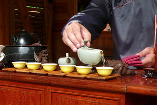 草本茶叶品牌推荐，品质与口碑的双重见证