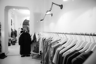 哪个耳机品牌好？深度解析与案例分析