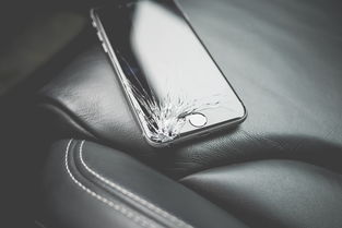 贵的铁锅铲子推荐品牌—深度解析与案例分析