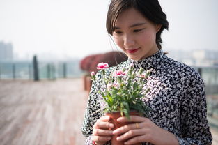 盘点那些让人爱不释手的进口女士发胶品牌，让你的发型更出众！