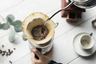 一杯清泉，四季相伴—XX水杯品牌故事与介绍