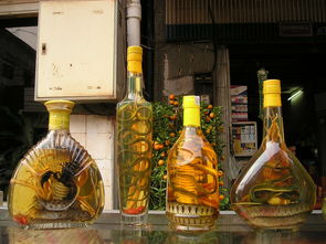 中国白酒品牌英译名与案例解析