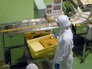 自贡扫地机品牌厂家地址