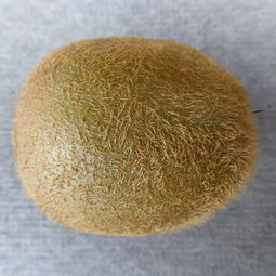 进口硅胶铲子品牌排名榜