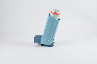 揭秘空气净化器家用高端品牌，如何为您的家打造清新呼吸空间