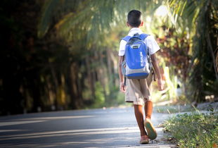 学生上学穿的品牌鞋男