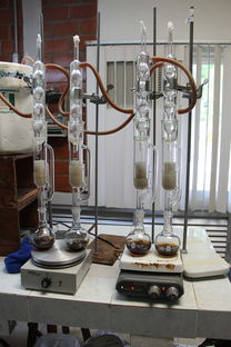 生物测量仪品牌推荐与案例分析