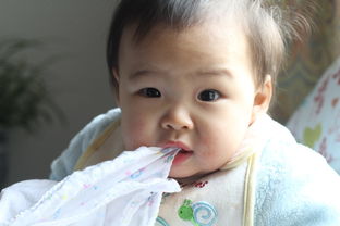 新疆婴儿奶嘴品牌排行榜，品质与口碑的见证