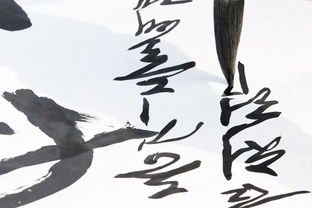 书法加盟品牌哪家强？一文带你全面了解！