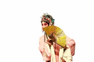 汉服品牌精选，从传统到时尚的华丽蜕变