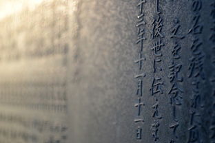 晓字书法—传承与创新，书写东方美学新篇章