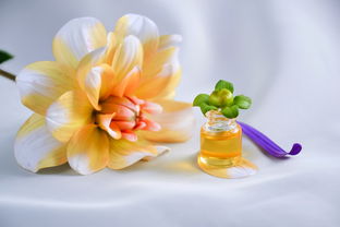 盘点那些带花的洗面奶品牌，让你的肌肤如花般绽放！