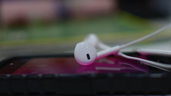 iPhone7Plus耳机品牌推荐与案例分析