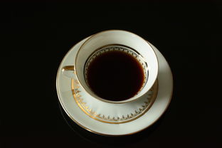 揭秘日本GP水杯品牌，品质生活从一杯水开始
