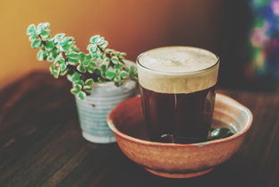 沈阳好的茶叶品牌加盟指南