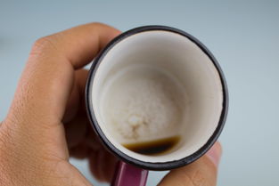 泡水达人必备！盘点那些让你爱不释手的泡水水杯品牌
