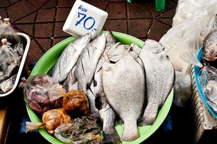 揭秘全球食用油市场的霸主—金龙鱼