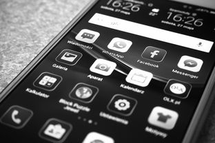 iPad鼠标大比拼，哪个品牌才是你的最佳拍档？
