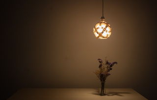 智能开关与灯具品牌，点亮未来家居生活