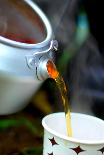 无脑买茶叶品牌秘籍，深度解析热门茶叶品牌，轻松选购优质茶叶！