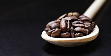 十大茶叶品牌排行榜，品质与口碑的巅峰之选