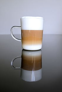 牛奶茶叶品牌大全—品味多彩生活