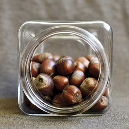 坚果品牌零食测评报告