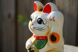 猫咪日本沐浴露品牌—天然呵护，品质生活