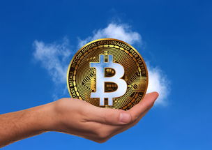 揭秘回报率最快的打印机品牌—投资回报，一触即发！