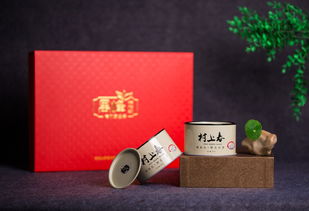 茶叶品牌茶博士—品质与传承的典范
