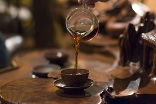 茶叶品牌茶博士—品质与传承的典范