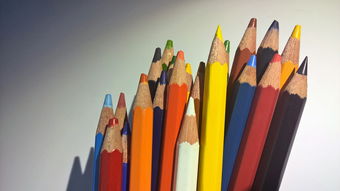 专业绘画铅笔品牌单价分析