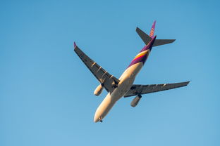 品牌航模玩具，探索未来飞行世界的趣味之旅