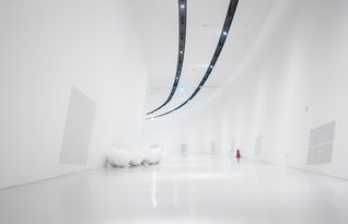 家具品牌重装系统，案例解析与未来展望